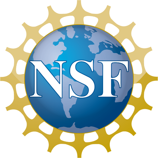 National Scinec Foundation logo