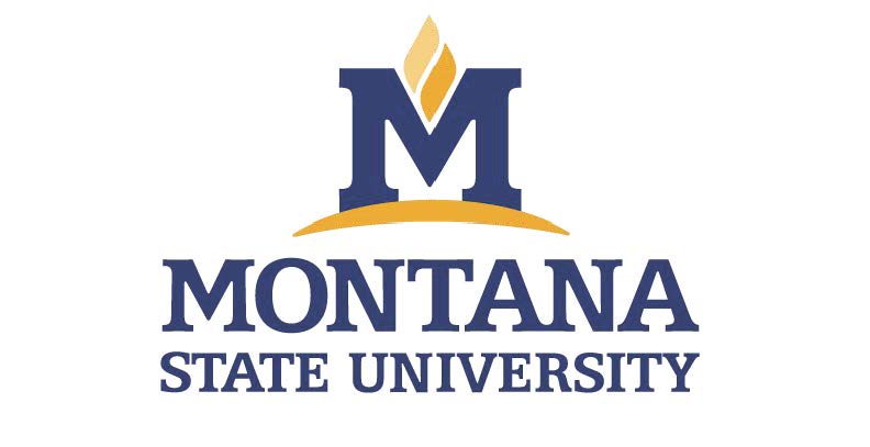 Montana State University logo
